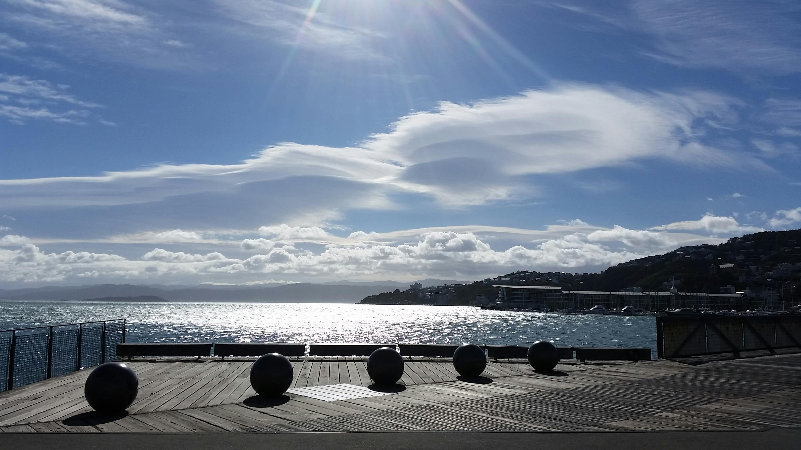 Wellington city and harbour — where By Rocket is based